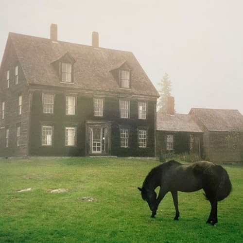 The Academy [Vinyl LP] von Secretly Canadian