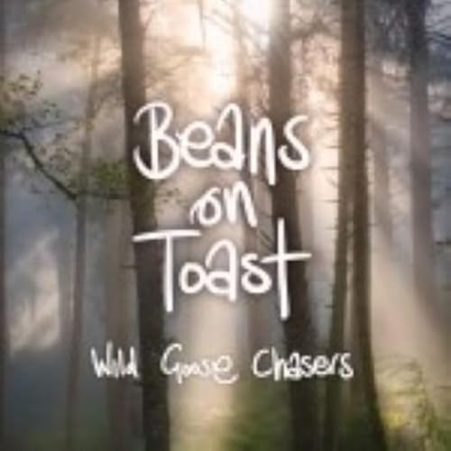 Wild Goose Chasers (Picture Disc) [Vinyl LP] von Wipeout Music (Rough Trade)