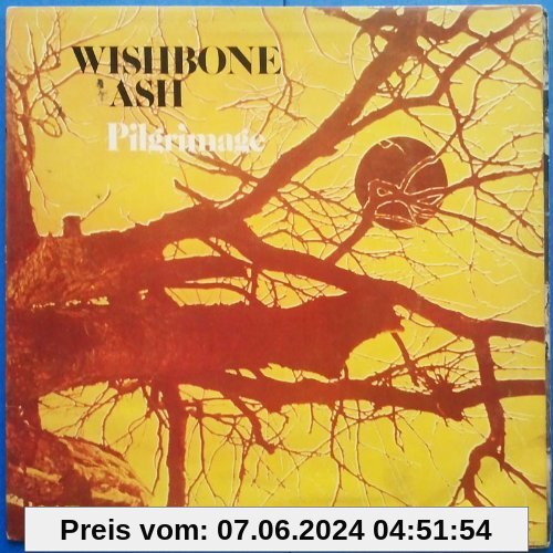 Pilgrimage [Vinyl LP] von Wishbone Ash