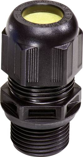 Wiska 10103447 Kabelverschraubung mit Zugentlastung, mit Dichtung M20 Polyamid Schwarz (RAL 9005) 50 von Wiska