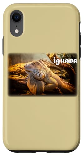 Foto mit Leguan-Eidechse Hülle für iPhone XR Foto mit Leguan-Eidechse Hülle für iPhone XR von Wistful