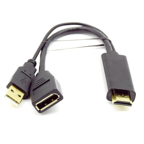 Woedpez Für HDTV Zu DisplayPort Adapter Mit USB Ladeanschluss Für Mehrere Geräte Unterstützt 4K60 Hz Sehr Klare Anzeige von Woedpez
