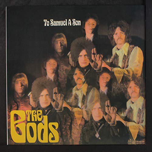 To a Samuel Son [Vinyl LP] von Wohn