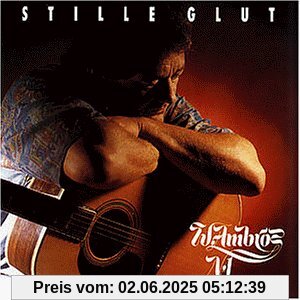 Stille Glut von Wolfgang Ambros