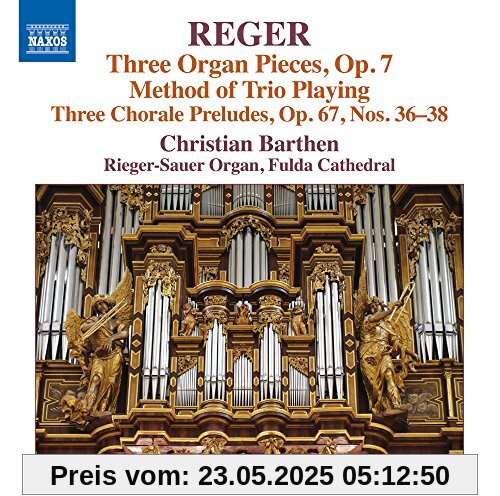 Reger: Orgelwerke Vol. 16 von Wolfgang Rübsam