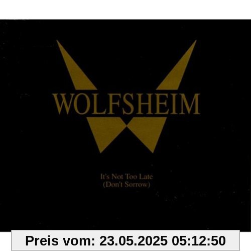 It's Not Too Late (Don't Sorrow) von Wolfsheim