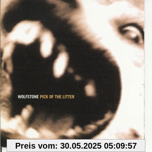 Pick Up the Litter Pick Up the Litter von Wolfstone