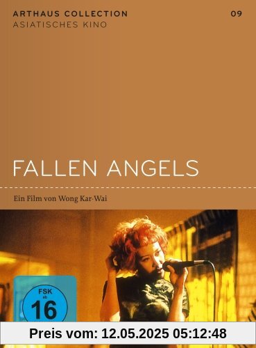 Fallen Angels - Arthaus Collection Asiatisches Kino Fallen Angels - Arthaus Collection Asiatisches Kino von Wong Kar-Wai