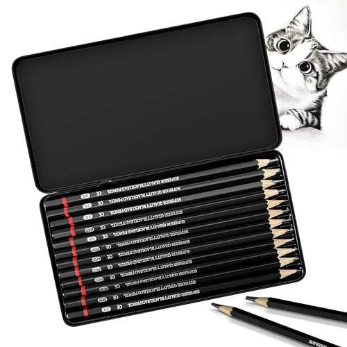 Bleistift Set, 12-Teiliges Zeichenstifte Set von 2H bis 8B, Bleistift Zeichnen Sketch Bleistift Set mit Graphitstifte für Künstler, Kinder, Erwachsene, Zeichnungen, Skizzieren Liebhaberin von Wonwood_direct