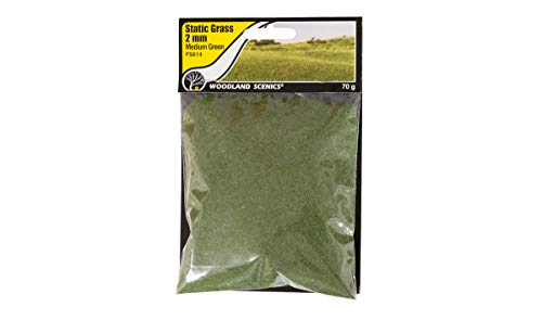 Woodland Scenics FS614 Static Grass 2mm statisches Gras mittelgrün medium green ca. 76g WFS614 von Woodland Scenics
