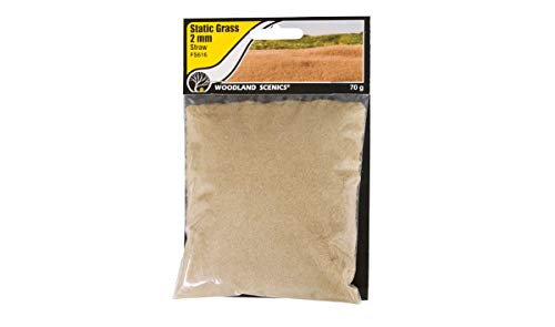 Woodland Scenics FS616 Static Grass 2mm statisches Gras Heu Stroh vertrocknetes Gras Straw ca. 75g WFS616 von Woodland Scenics