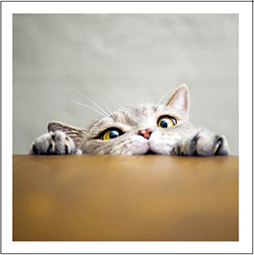 Peekaboo Lustige Katze Grußkarte Geburtstagskarte Humorvolle Karte für Katzenliebhaber - 468414 von Woodmansterne