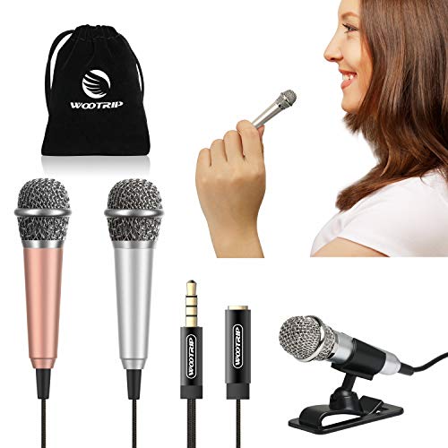 Wootrip [2 Stück] Mini-Karaoke-Mikrofon, Mini-Sprachaufnahme-Mikrofon, tragbares Karaoke-Mikrofon für Gesang, Aufnahme, Sprachaufnahme (Silber/Gold) von Wootrip
