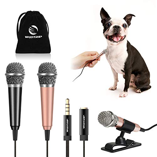 Wootrip Mini-Karaoke-Mikrofon, Mini-Sprachaufnahme-Mikrofon, tragbares Karaoke-Mikrofon für Singen, Aufnahmen, Sprachaufnahmen (schwarz/Gold), 2 Stück von Wootrip