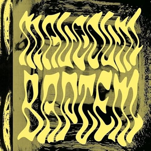 Baptem EP (Nathan Micay remix) [VINYL] [Vinyl LP] von Word And Sound Medien