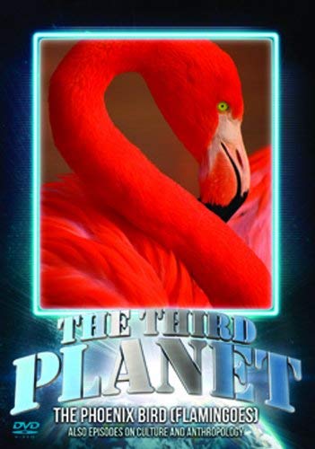 The Third Planet: The Phoenix Bird (Flamingoes) [DVD] von Worldwide Academic Media