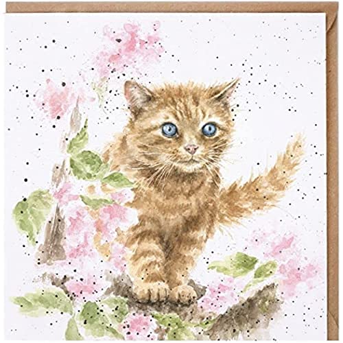 Artistic Grußkarte (wre2523) – blanko/Geburtstag – Die Marmelade Cat – Country-Set-Collection – Hannah Dale von Wrendale Designs by Hannah Dale