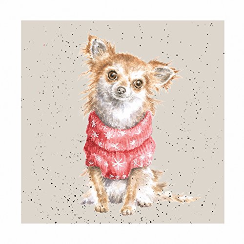 Artistic Grußkarte (wre8502) blanko/Geburtstag – Maisy – Liebenswürdig, Chihuahua tragen jumper – A Dog 's Life Collection – Hannah Dale von Wrendale Designs by Hannah Dale
