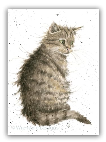 Der Katze Schnurrhaare – blanko Karte von Wrendale Designs by Hannah Dale