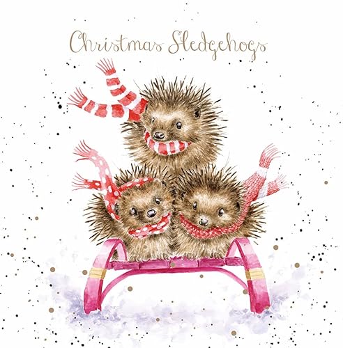 Wrendale Designs by Hannah Dale - „Sledgehogs“ - Weihnachtskarten-Schachtelset - 8 Stück von Wrendale Designs