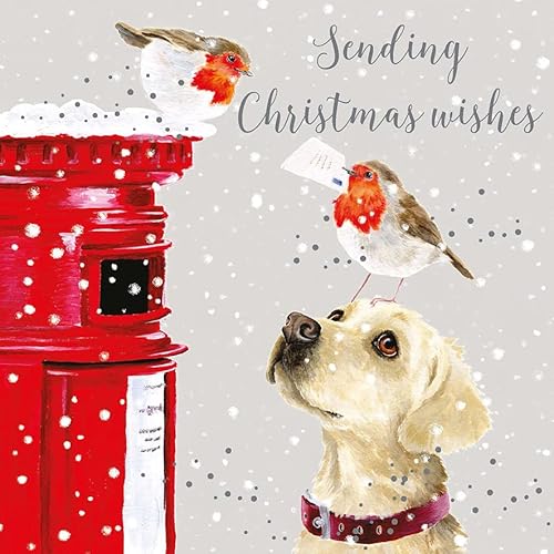 Wrendale Designs by Hannah Dale - Weihnachtskarten-Set "Letters To Santa", 8 Stück von Wrendale Designs by Hannah Dale
