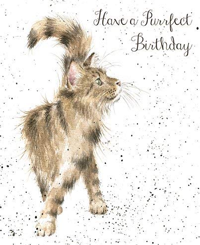 Geburtstagsgrußkarte, Katzenmotiv mit Aufschrift: „Have A Purrfect Birthday“ (WRE2159) von Wrendale Designs
