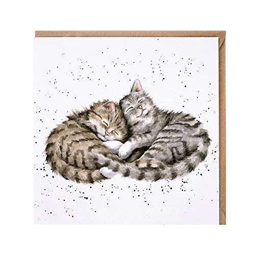 Grußkarte, Motiv: schlafende Kätzchen, blanko von Wrendale Designs