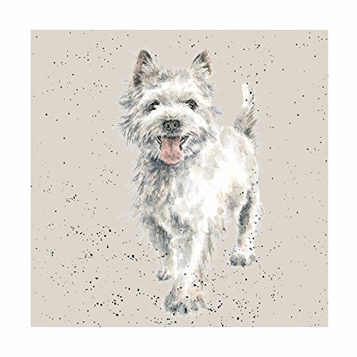 Grußkarte (wre8465) blanko/Geburtstag – Macbeth Westie Hund – aus der Reihe 'A Dog 's Life'. von Wrendale Designs