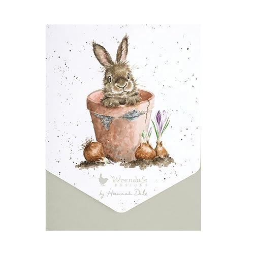 The Flower Pot' Rabbit Karten-Set von Wrendale Designs