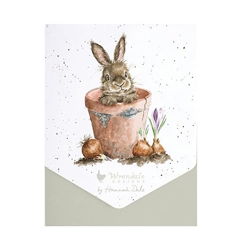 The Flower Pot' Kaninchen Kartenpaket von Wrendale Designs