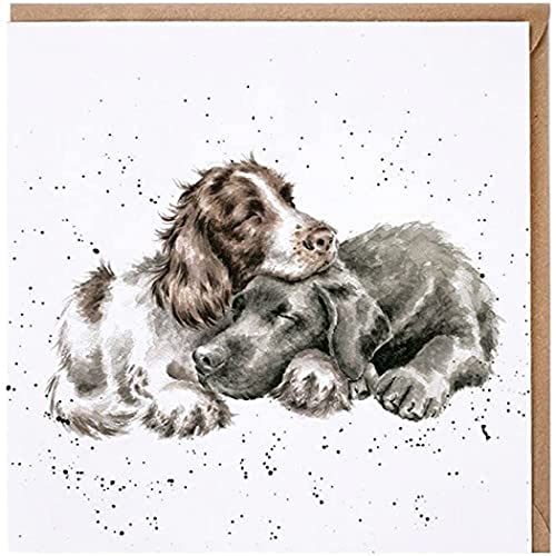Wrendale - CS206 - Doppelkarte mit Umschlag, Hunde, growing old together, 15cm x 15cm, quadratisch von Wrendale Designs