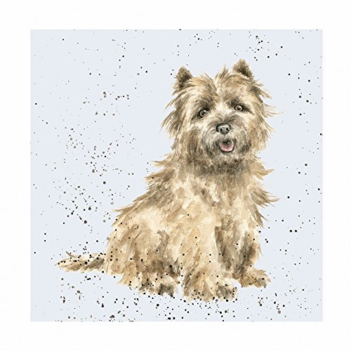 Grußkarte (wre8809) blanko/Geburtstag – Poppy Cairn Terrier – aus der Reihe 'A Dog 's Life'. von Wrendale Designs