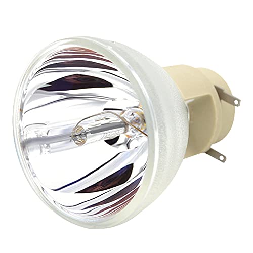 Wrtysully Kompatibel W1070 W1070 + W1080 W1080ST HT1085ST HT1075 W1300 Projektor Lampe 240/0.8 E20.9N für von Wrtysully
