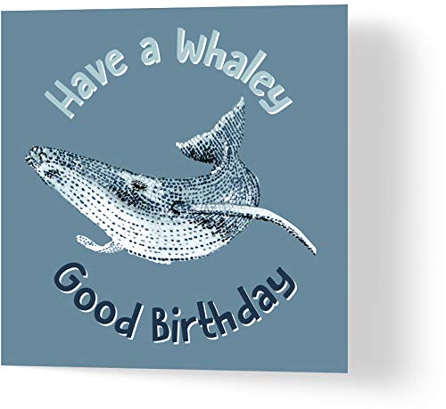 Wuzci Geburtstagskarte "Have a Whaley Good Birthday", 150 mm Länge x 150 mm Breite von Wuzci