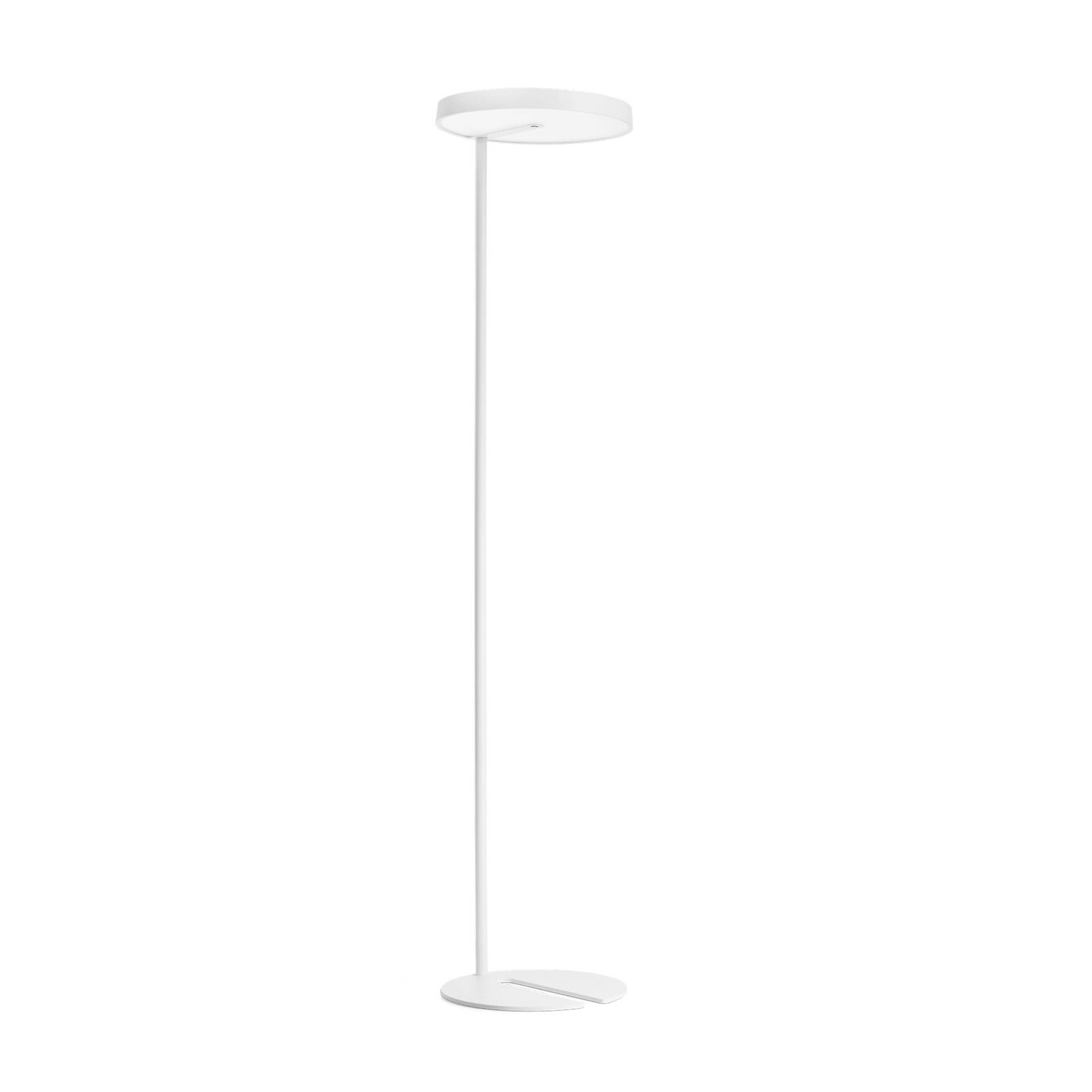 XAL Sonic Stehlampe asymmetrisch dezentral weiß XAL Sonic Stehlampe asymmetrisch dezentral weiß von XAL
