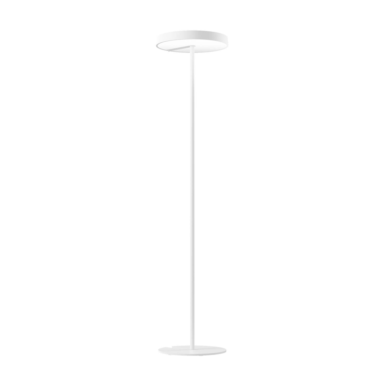 XAL Sonic Stehlampe asymmetrisch zentral weiß XAL Sonic Stehlampe asymmetrisch zentral weiß von XAL