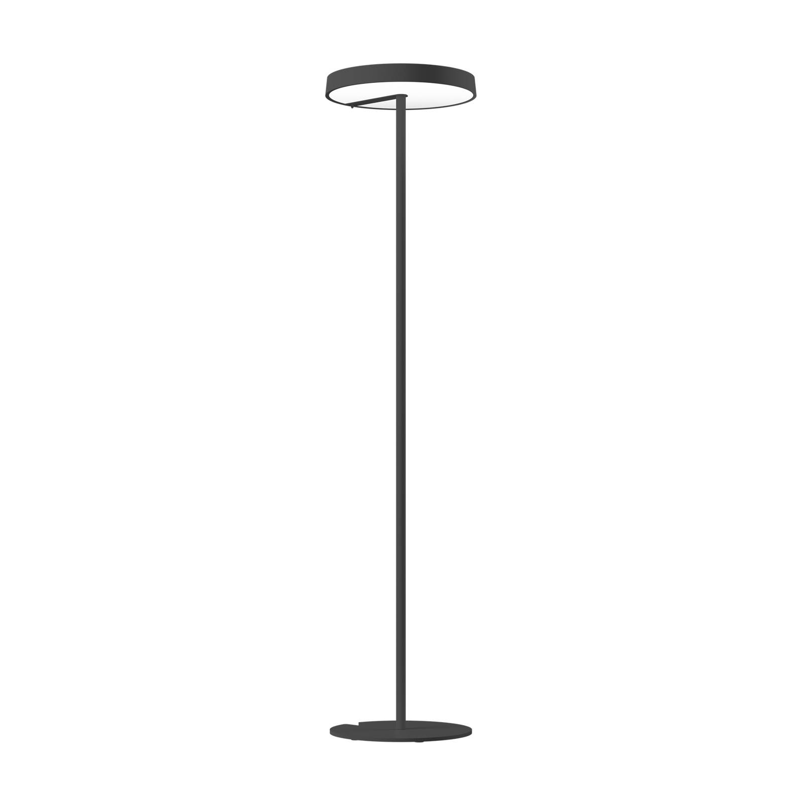 XAL Sonic Stehlampe symmetrisch zentral dunkelgrau XAL Sonic Stehlampe symmetrisch zentral dunkelgrau von XAL