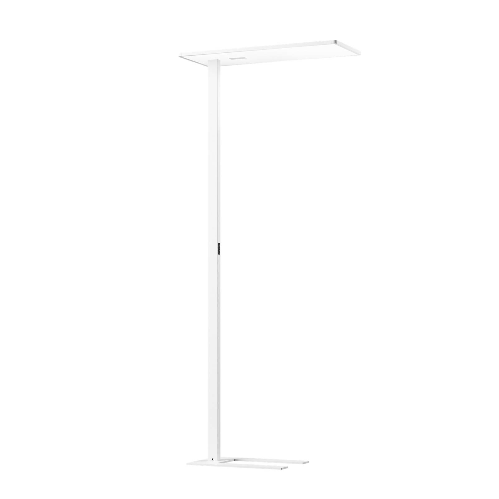 XAL LED-Büro-Stehlampe Task, weiß, Sensor, 940, symmetrisch XAL LED-Büro-Stehlampe Task, weiß, Sensor, 940, symmetrisch von XAL
