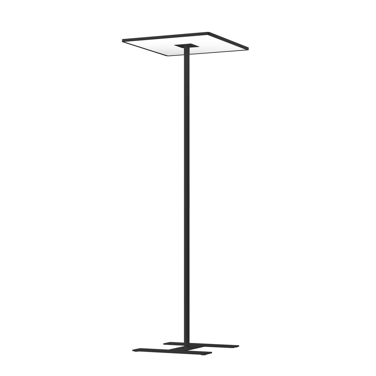 XAL Task square LED-Stehlampe Sensor 4000K schwarz XAL Task square LED-Stehlampe Sensor 4000K schwarz von XAL