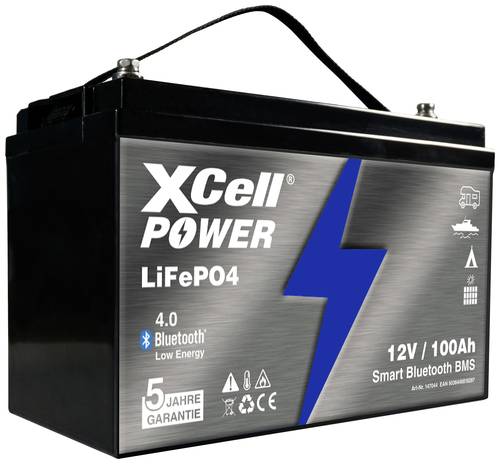 XCell LiFePo4 12V / 100Ah Spezial-Akku LiFePo-Block Innengewinde LiFePO 4 12V 100Ah von XCell