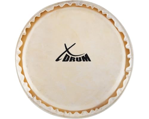 XDrum Bongo Fell 6" - Natur-Fell für Bongo-Trommel - Durchmesser: 6 Zoll (ca. 152 mm) - Natur von XDrum