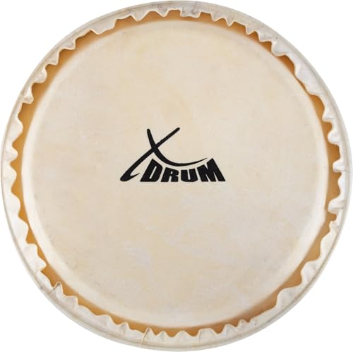 XDrum Bongo Fell 7,5" - Natur-Fell für Bongo-Trommel - Durchmesser: 7,5 Zoll (ca. 190 mm) - Natur von XDrum