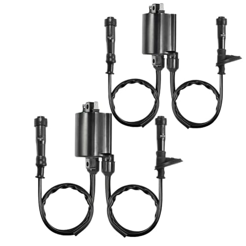 XFYESL Zündkerzen 2set Von Zündspule & Zündkerze Kappe Für HONDA Shadow 750 Für Shadow ACE 750 Aero 750 zündspule von XFYESL