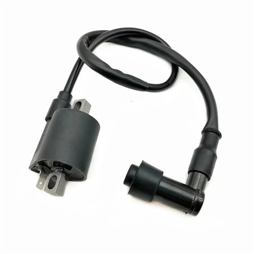 XFYESL Zündkerzen Motorrad Leistung Teile Zündspule System Einheit Für D8TC CG ZJ 50 60 80 100 125 150CC zündspule(90) von XFYESL