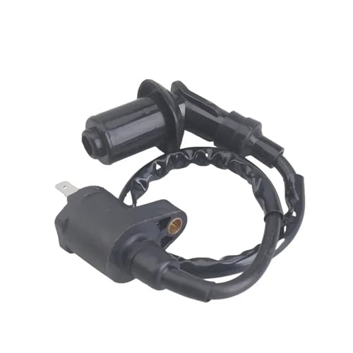 XFYESL Zündkerzen Motorrad Leistung Teile Zündspule System Einheit Für GY6 50 60 80 100 125 150CC ATV Quad Pit Bike zündspule(120) von XFYESL
