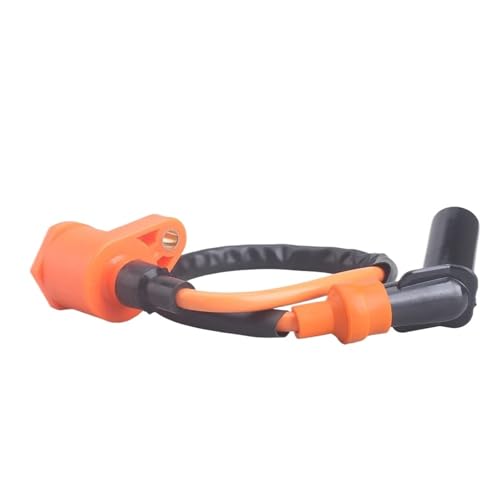 XFYESL Zündkerzen Motorrad Leistung Teile Zündspule System Einheit Für GY6 50 60 80 100 125 150CC ATV Quad Pit Bike zündspule(120) von XFYESL
