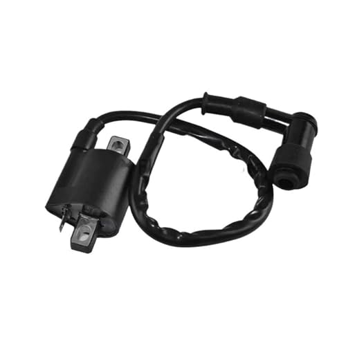 XFYESL Zündkerzen Motorrad-Zündspule, Hochspannungsspule, schwarz, passend für ATV-Roller CG125ccm 150ccm 200ccm Kart zündspule XFYESL Zündkerzen Motorrad-Zündspule, Hochspannungsspule, schwarz, passend für ATV-Roller CG125ccm 150ccm 200ccm Kart zündspule von XFYESL