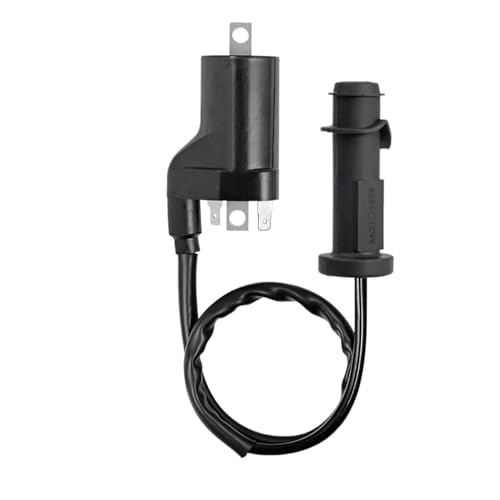 XFYESL Zündkerzen Zündspule Pack ZÜNDKERZENSTECKER Für Arctic Cat 550 700 1000 09-16 Für Prowler XT Für Prowler XTZ zündspule von XFYESL