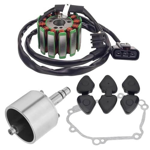 Zündkerzen Motorrad Stator Coil Generator Schwungrad Rotor Dichtung Dichtung Für YAMAHA YZF-R1 04-08 FZ8 FZ8N zündspule(1 Set) von XFYESL