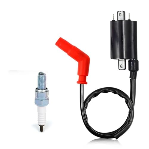 Zündkerzen Zündspule und Zündkerze für Yamaha Raptor 700 Raptor 700R YFM 700 700R 2006-2018 4DN-82320-00-00 2UJ-82310-00-00 zündspule von XFYESL